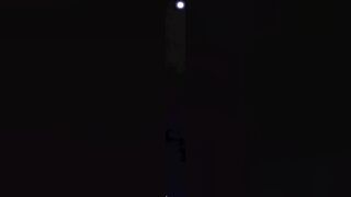 眼镜哥哥的小小鸟